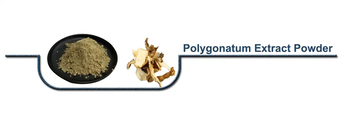 Polygonatum Extract .jpg